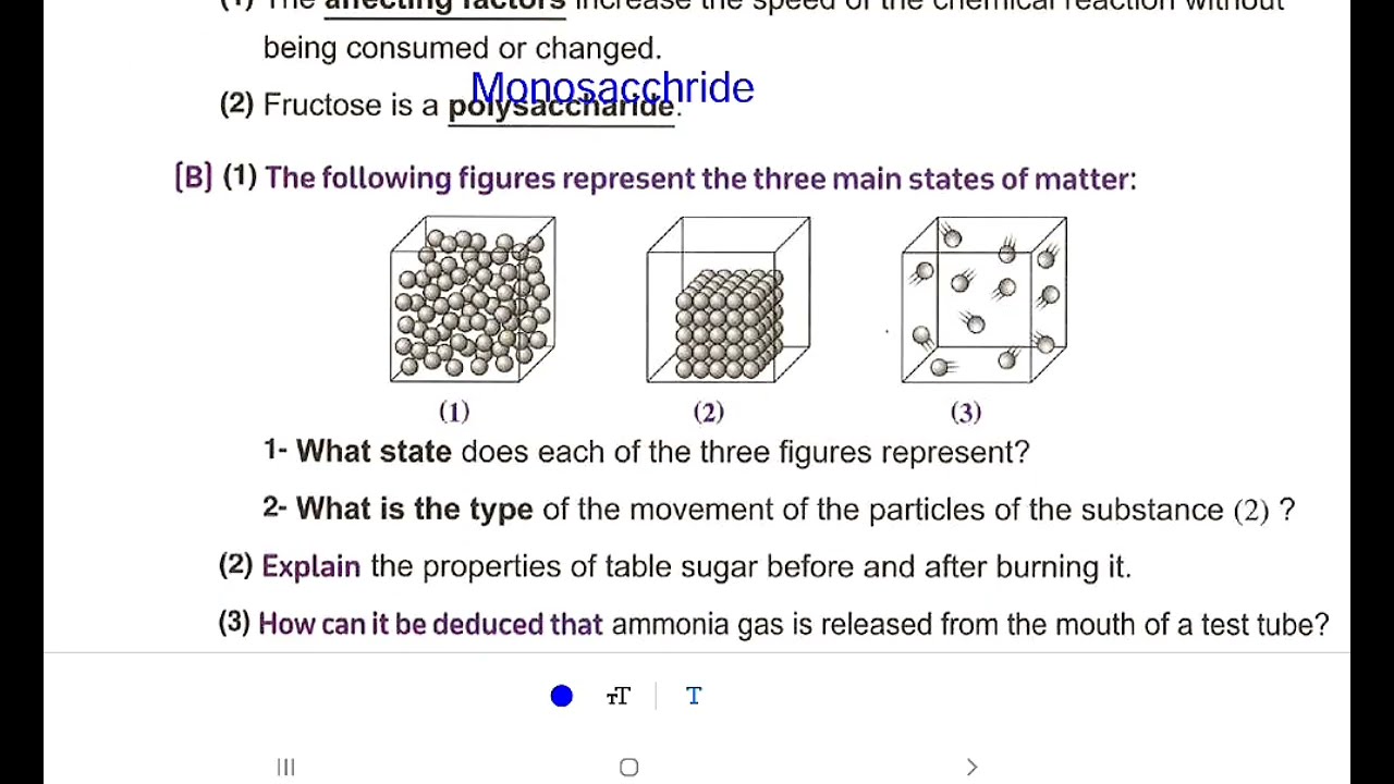 Science Prep 2 Moasser Model Final Exam Model Exam 2 حل امتحانات المعاصر ساينس تانية اعدادى ترم اول