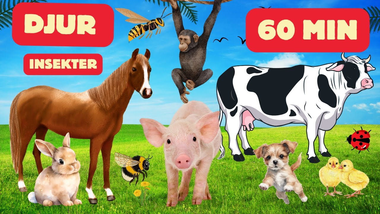 Lär Namn På Djur Och Insekter - För Barn På Svenska 