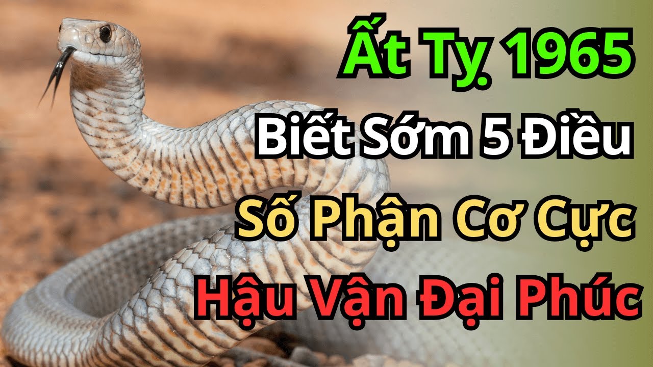 Ất Tỵ 1965: Nửa Đời Nếm Đủ Đắng Cay, Hậu Vận Hưởng Trọn Đại Phúc Nhờ 5 Bí Mật Này!