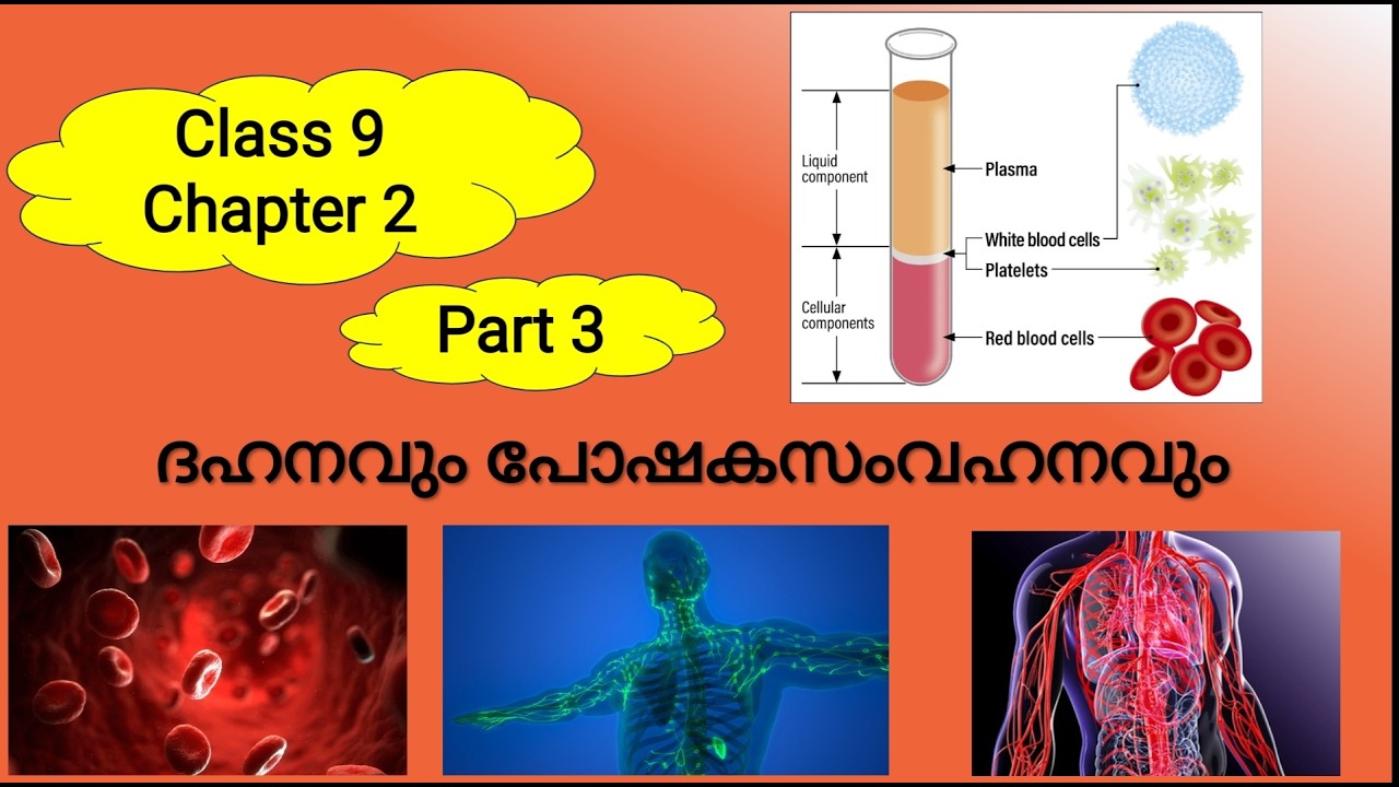 SCERT CAPSULE class 9 chapter 2 Biology ദഹനവും പോഷകസംവഹനവും LPUP All PSC Exams Part 3 രക്തവും ലിംഫും