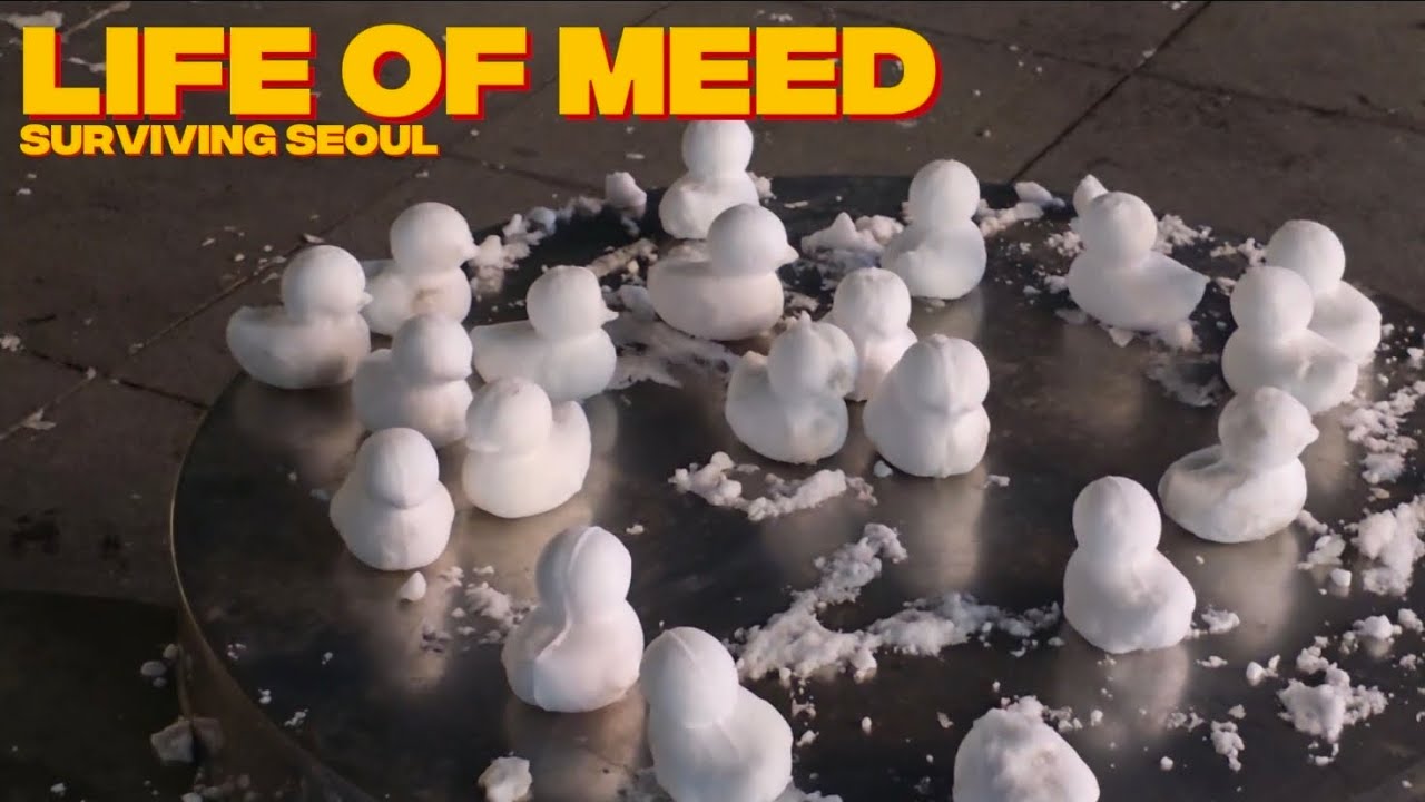 A Week in Korea | Food, Shahada Ceremony, Snow & Bouldering 