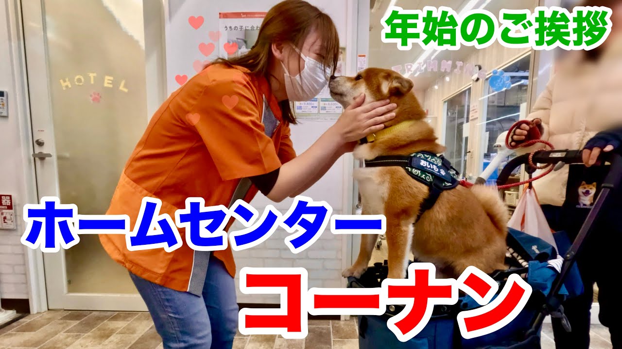 ホームセンターコーナン！年始のごあいさつ
