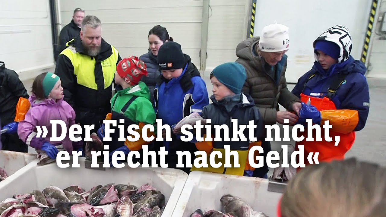 Die Kabeljauzungen-Schneider: Traditionsjob für norwegische Inselkinder (SPIEGEL TV für ARTE Re:)
