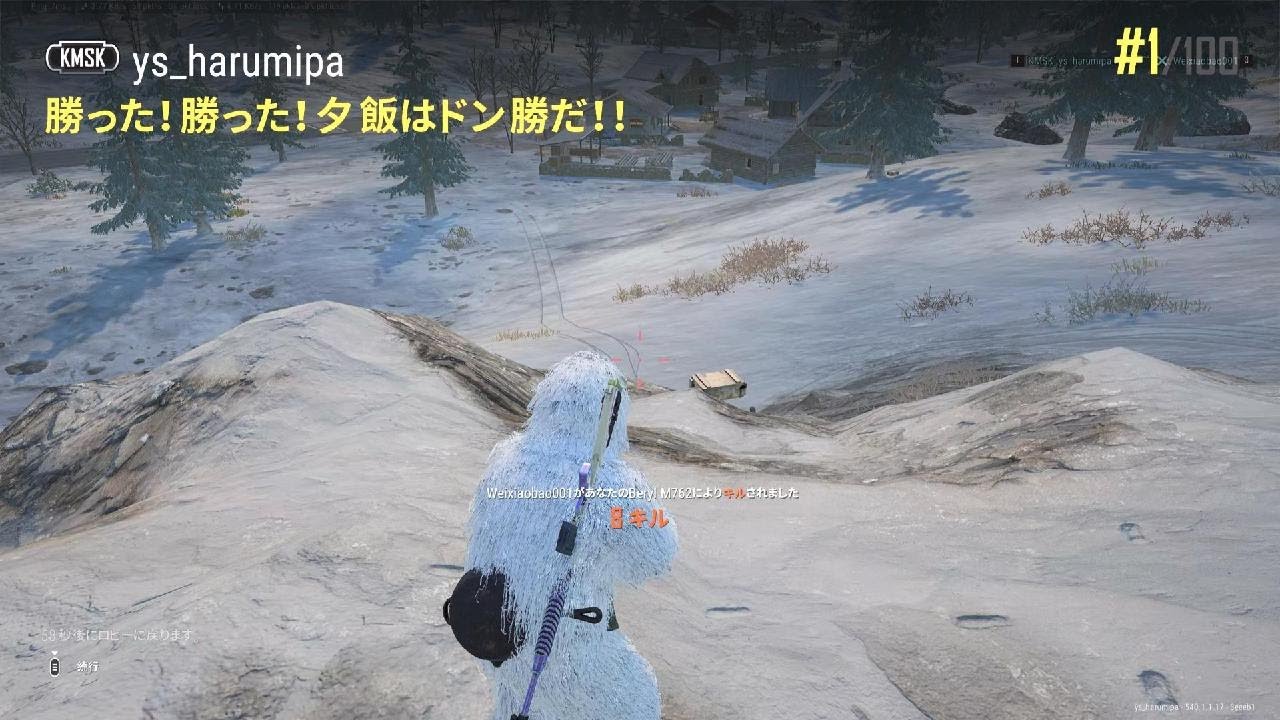 PUBG: BATTLEGROUNDS_20260224 Beryl + SLR Vikendi Solo