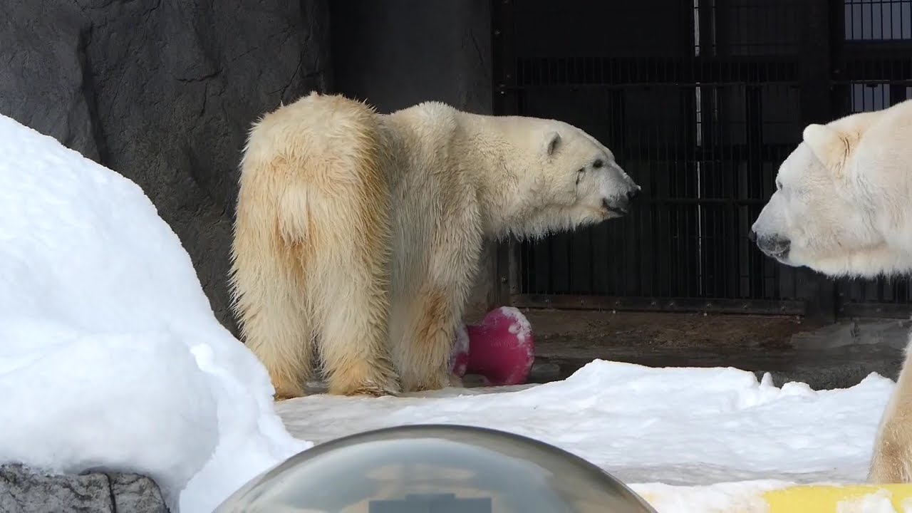 運んで