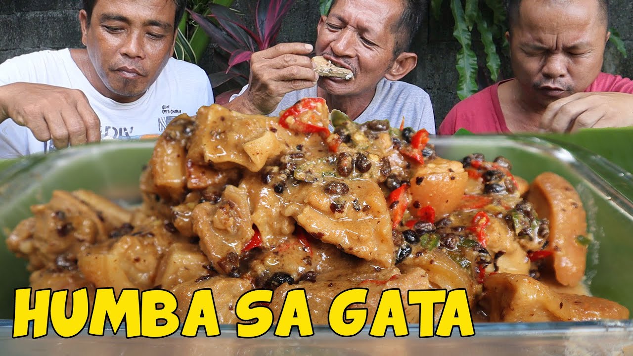 HUMBA SA GATA