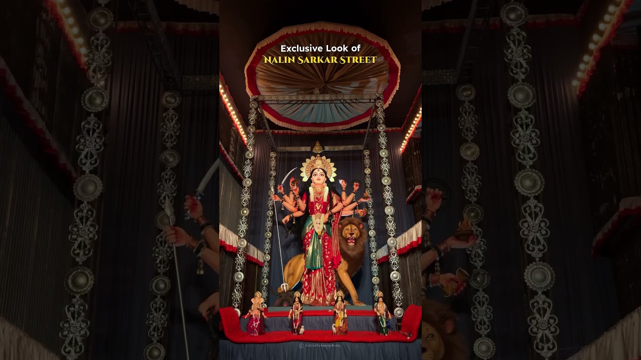 Nalin Sarkar Street Durga Pujo 2024