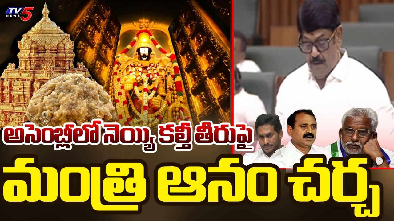 Minister Anam Ramanarayana Reddy On TTD Adulterated Ghee Issue In AP Assembly | TV5 News