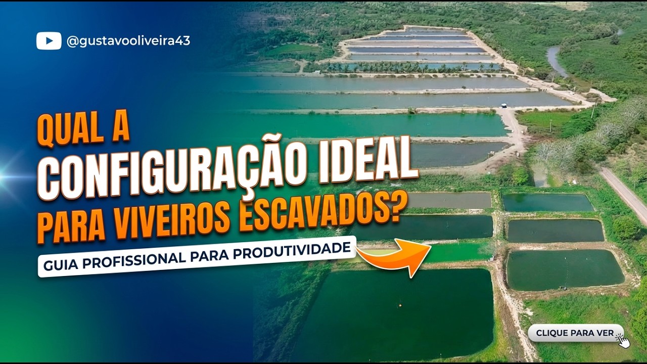 Qual a configuração ideal para viveiros escavados?