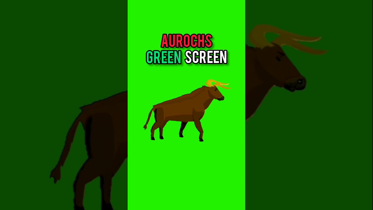 Aurochs walking green screen in angry mood‼️#aurochs #walking #greenscreen #in #angry #mood