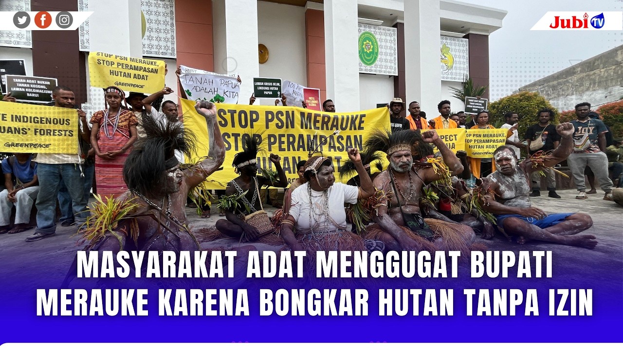 MASYARAKAT ADAT MENGGUGAT BUPATI MERAUKE KARENA BONGKAR HUTAN TANPA IZIN