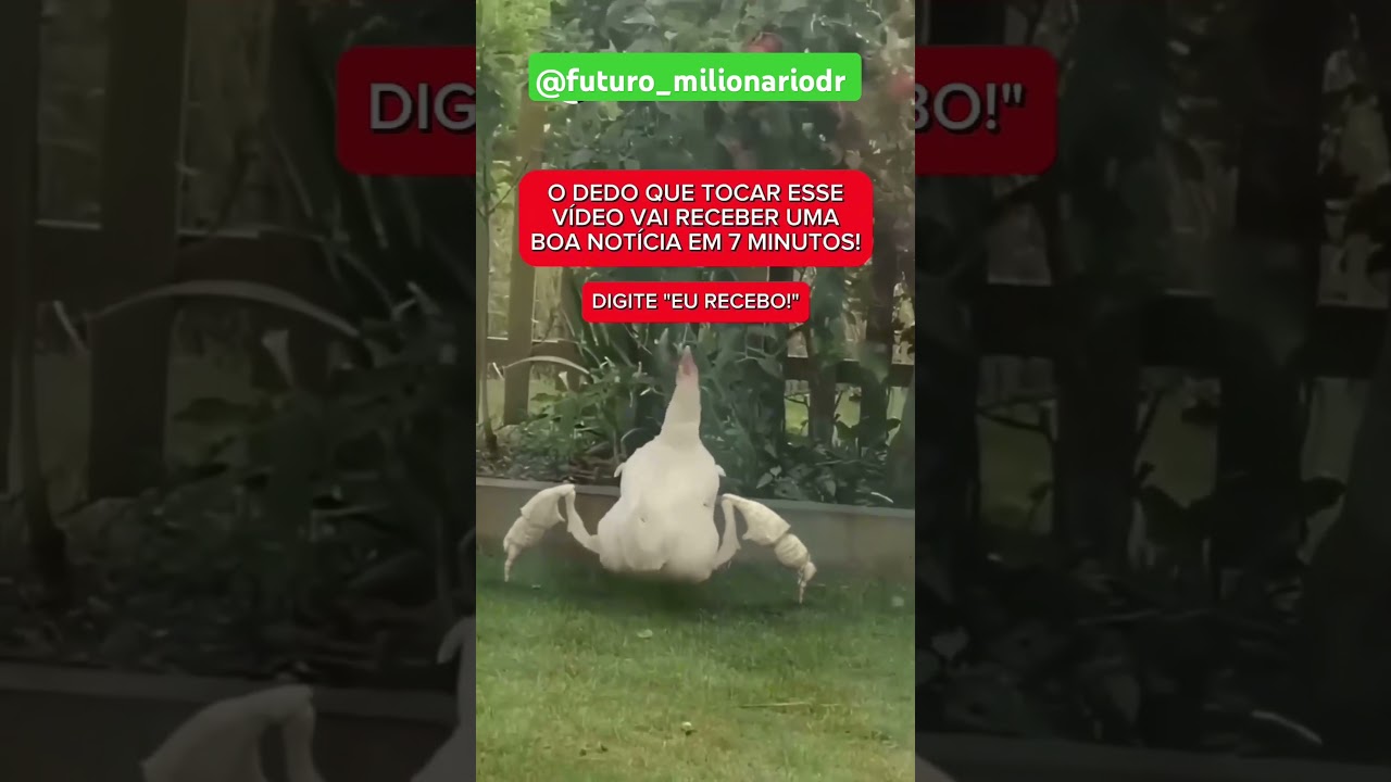 Sim vamos receber? #dedo #tocar #video #receber #boas #not&iacute;cias #recebo