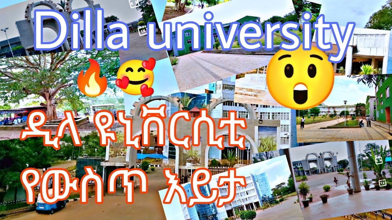 Dilla University |የውስጥ እይታ.