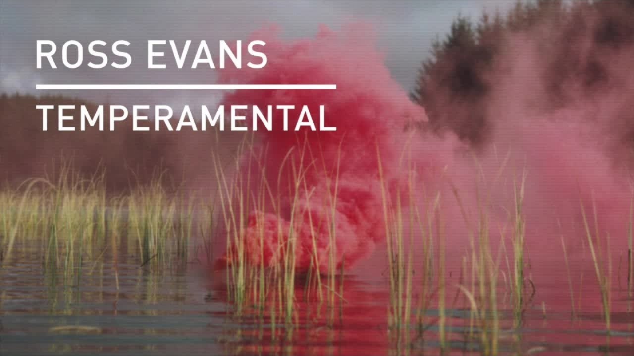 Ross Evans - Reset 01