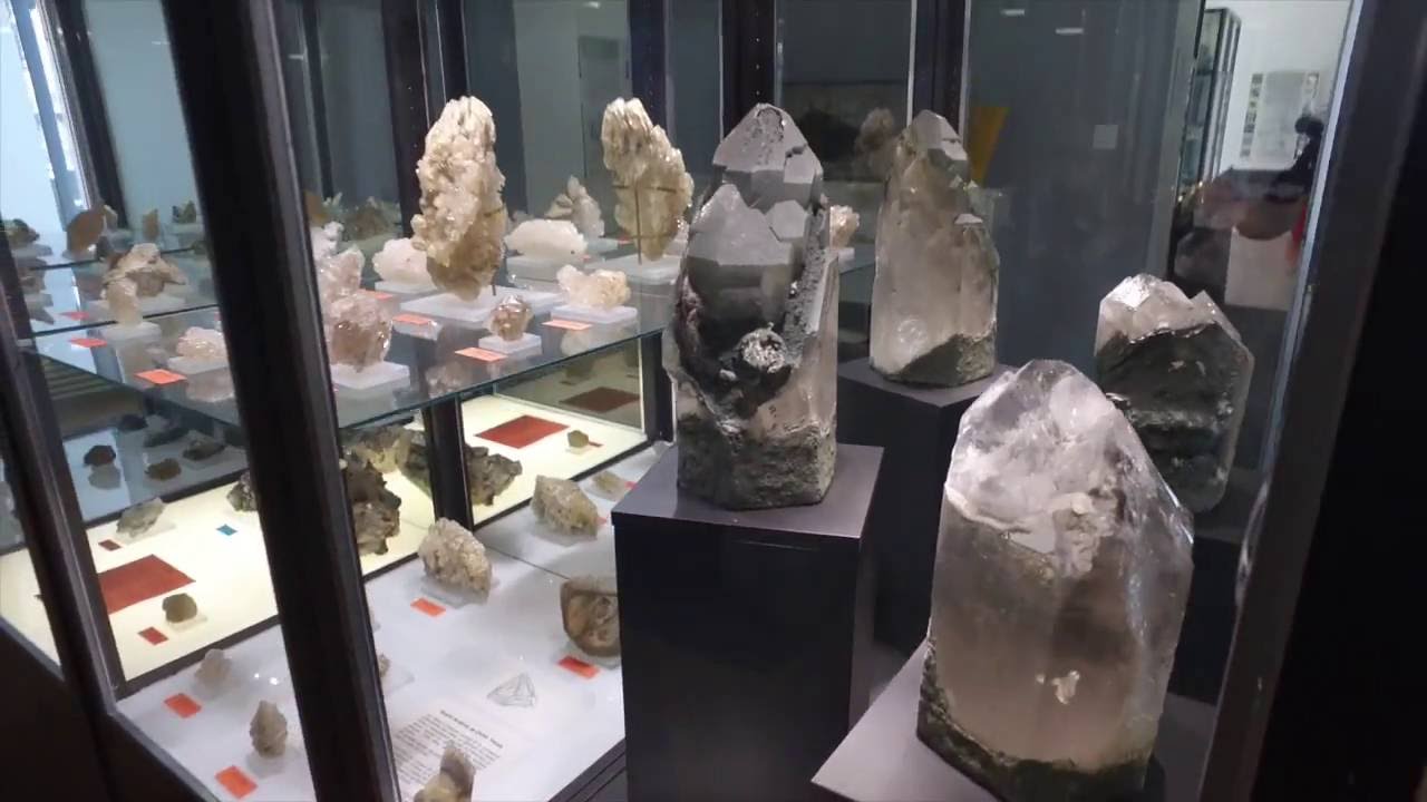 Mus&eacute;e des Sciences  de la terre