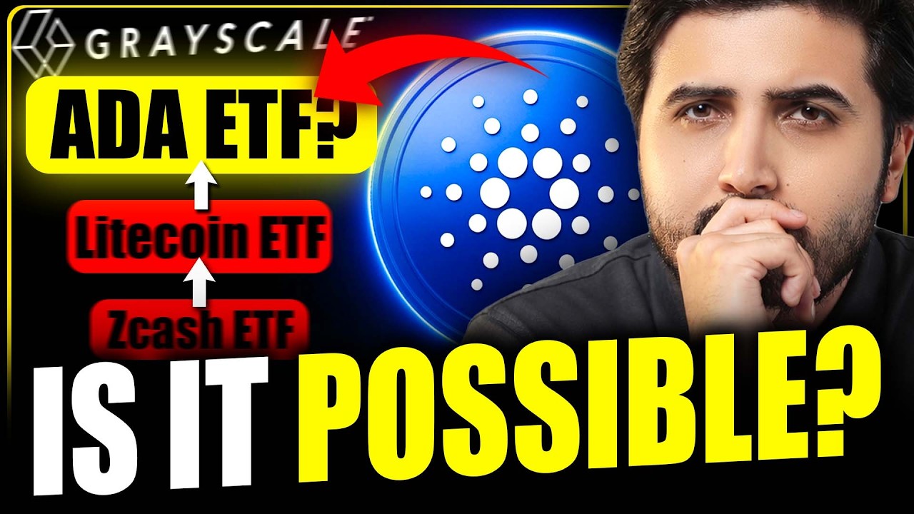 Is Cardano ADA NEXT?!