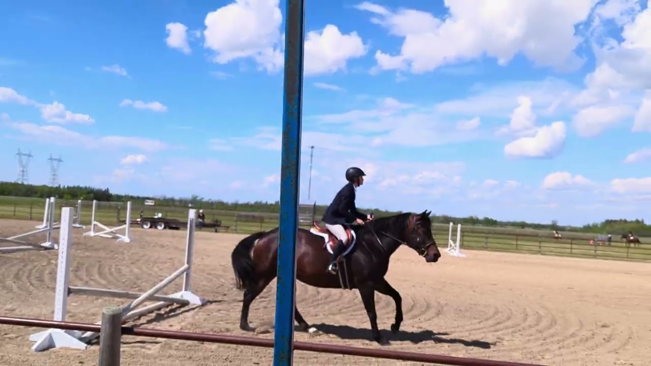 Stonewall horse show 2024