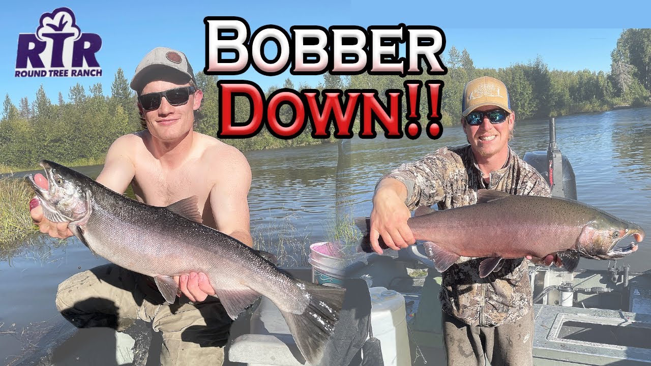 Nonstop Alaskan Salmon Fishing  With Roe 2021