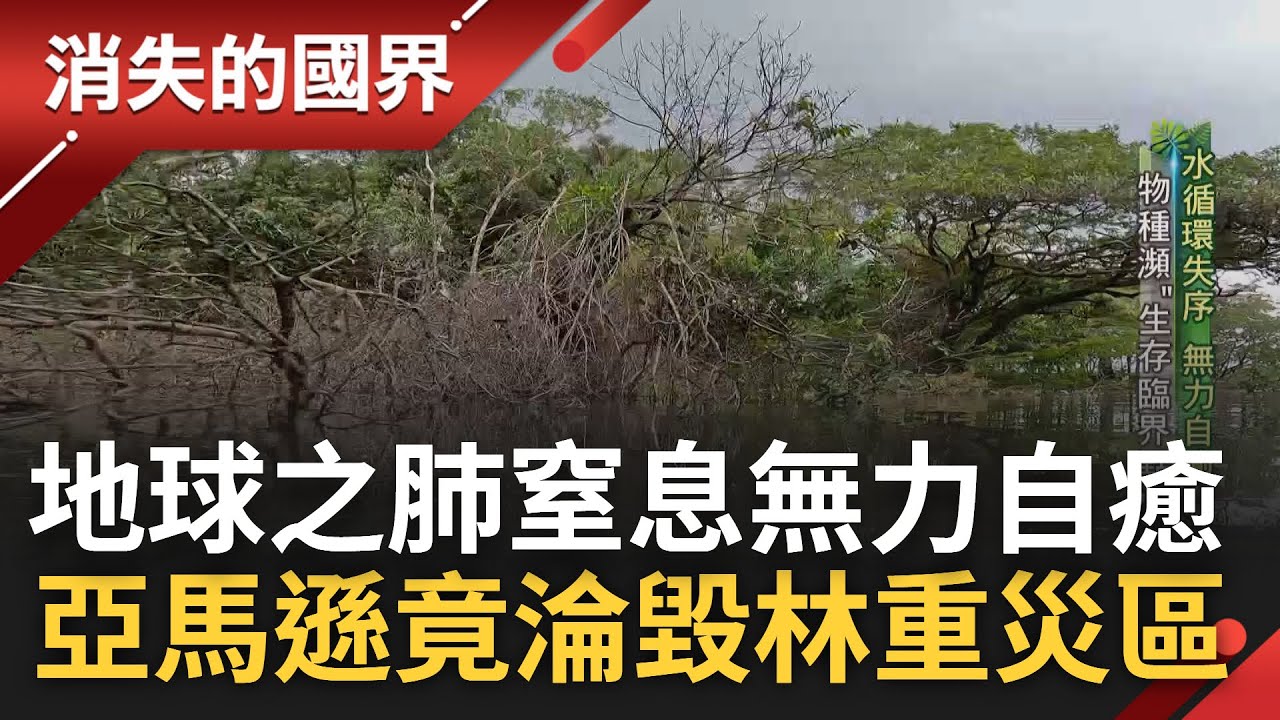 SUB｜消失的不只