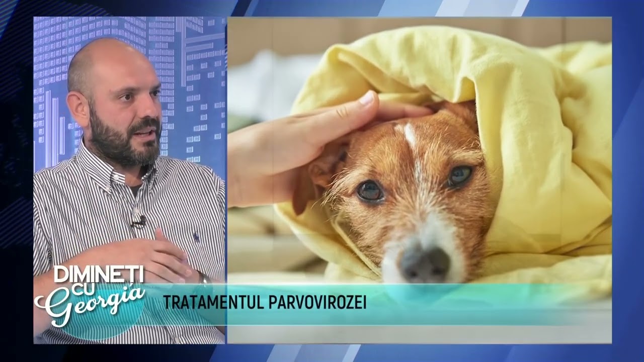 pet-stuff.ro | Spital Veterinar | Parvoviroza canină