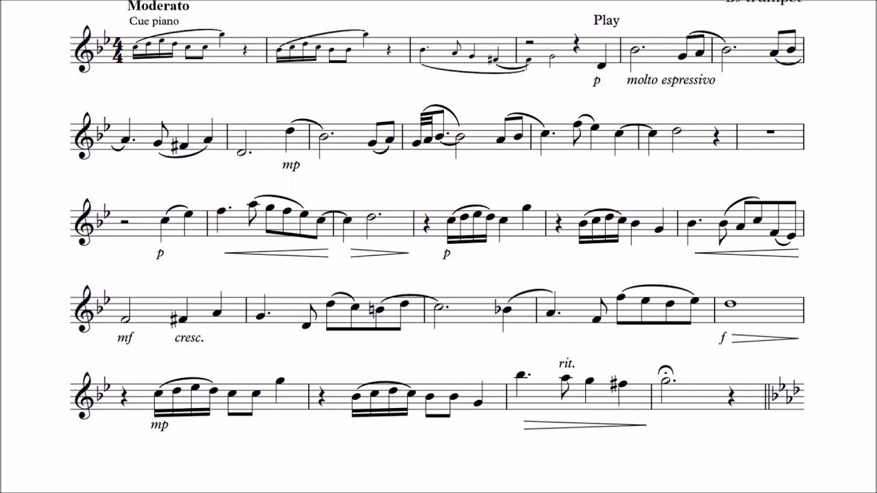 Trumpet Play-Along - Song for my cat - with sheet music