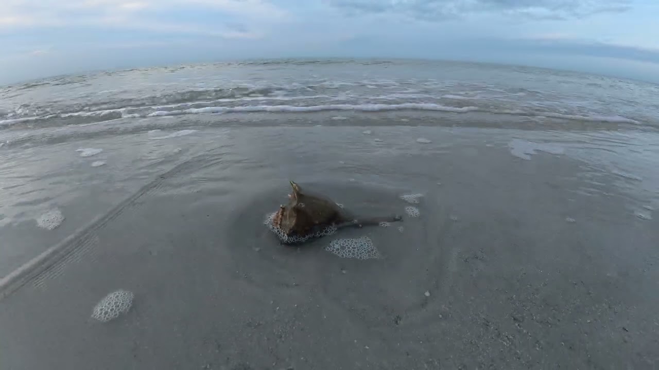 14 minutes of glorious sunrise Fort Myers Beach