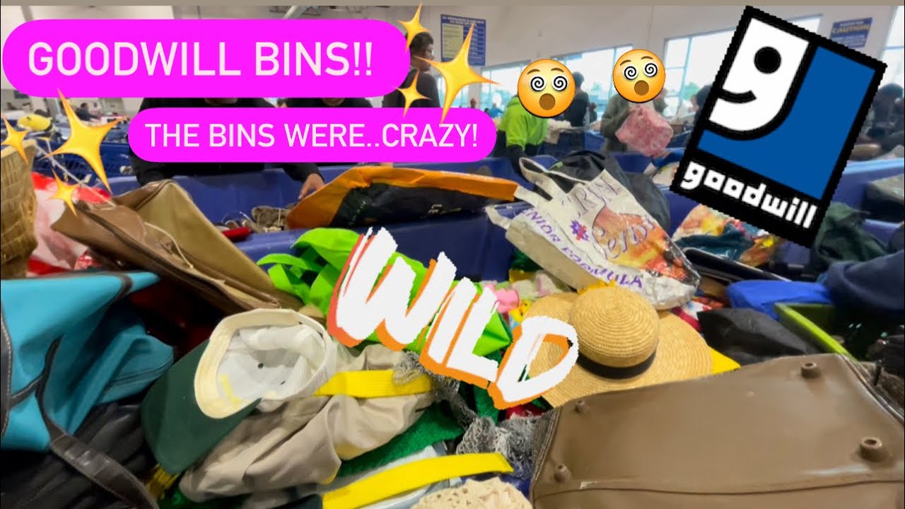 Let’s Go To Goodwill Bins!! It Was INSANE! 😳 New Purse Bins Are OUT! Thrift With Me! +HAUL!