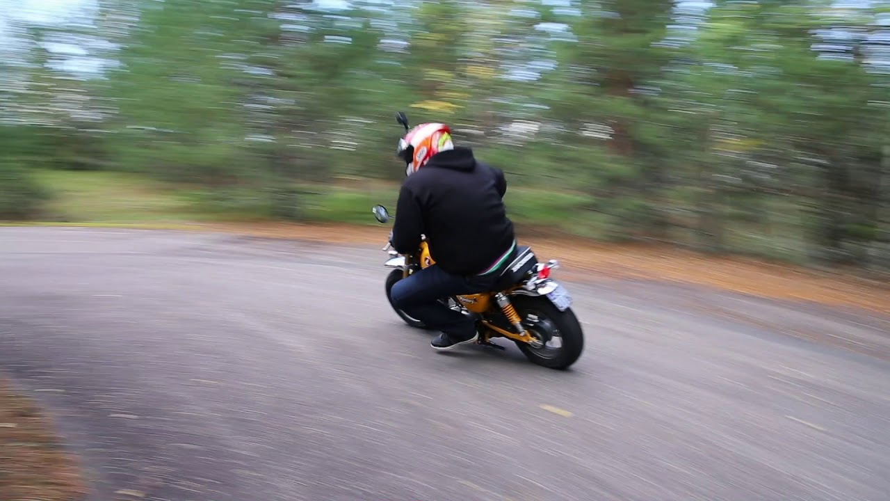 Honda Monkey 125 – Mopoklassikko kasvoi aikuiseksi - Nettimoto.com
