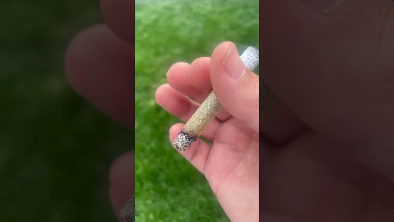 YELLOW ZUSHI PREROLL BY TEN CO. #yellowzushi #tenco #keepit10 #420 #cannabiscommunity
