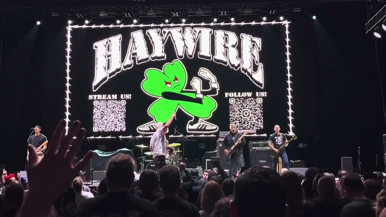HAYWIRE - Summer Nights LIVE 