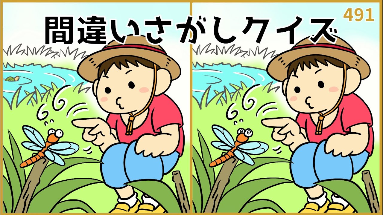 【間違い探しクイズ】難易度高め！高齢者向け脳トレ動画【イラスト編】#491
