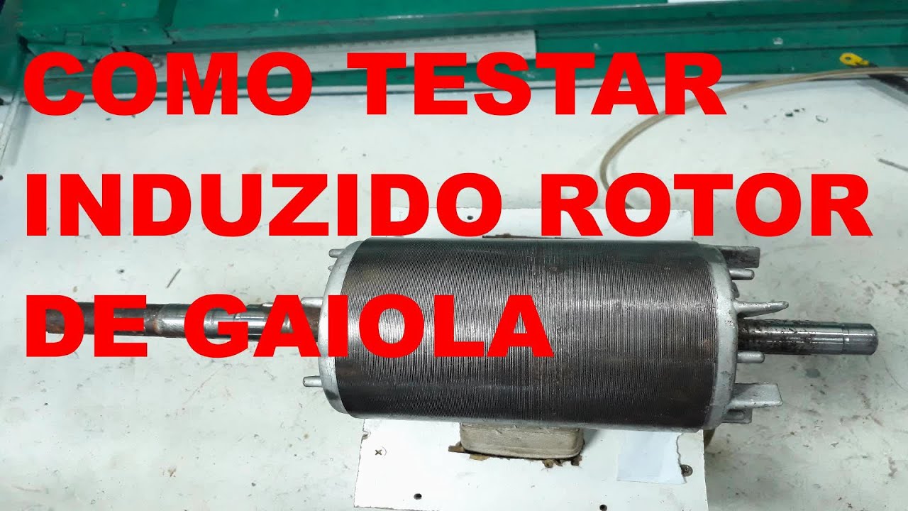 INDUZIDO COMO TESTAR COM O TESTE TATUZINHO