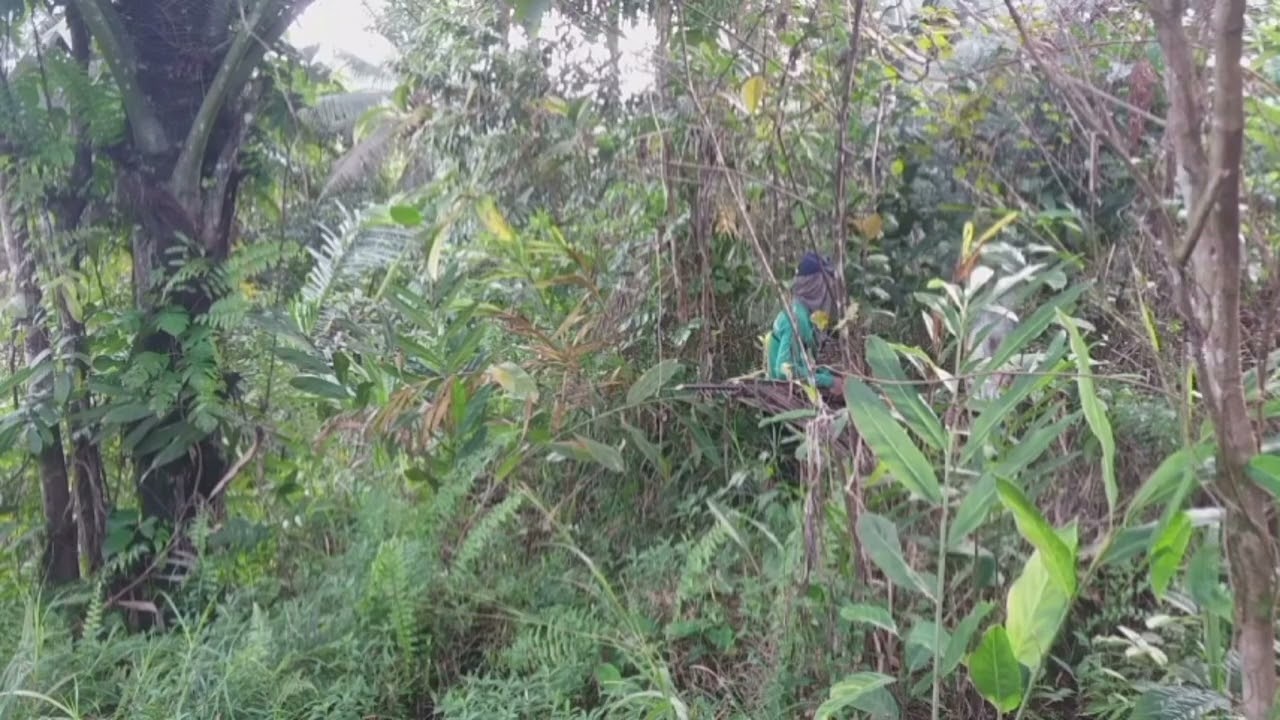 Imbis na Tayo ang nakadali tayo pa ang nadali mga kahunter 