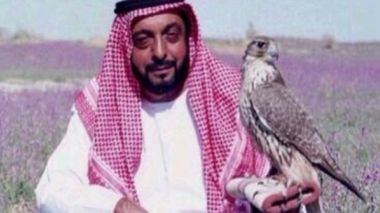 يالزيم القلب - اصيل ابو بكر