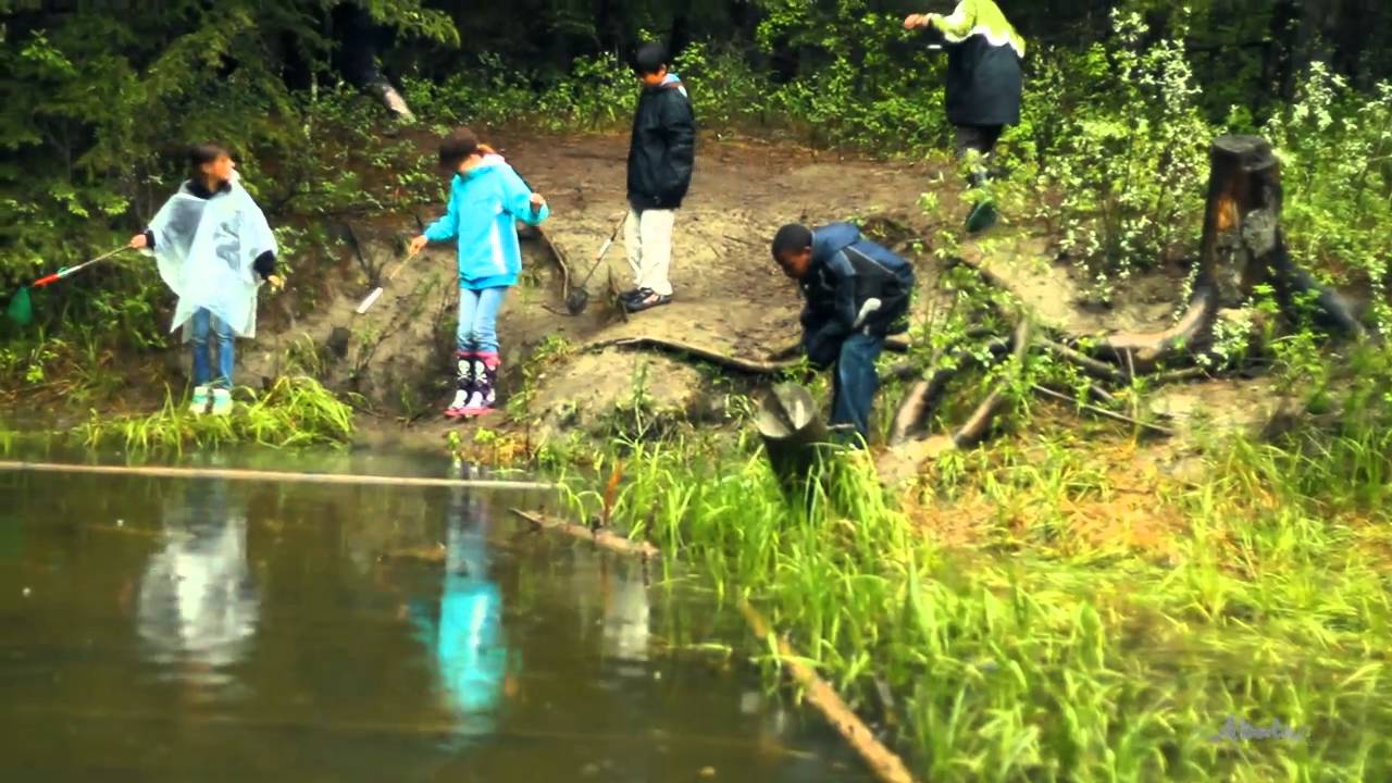 Fish Creek Environmental Learning Centre Grand Re-opening