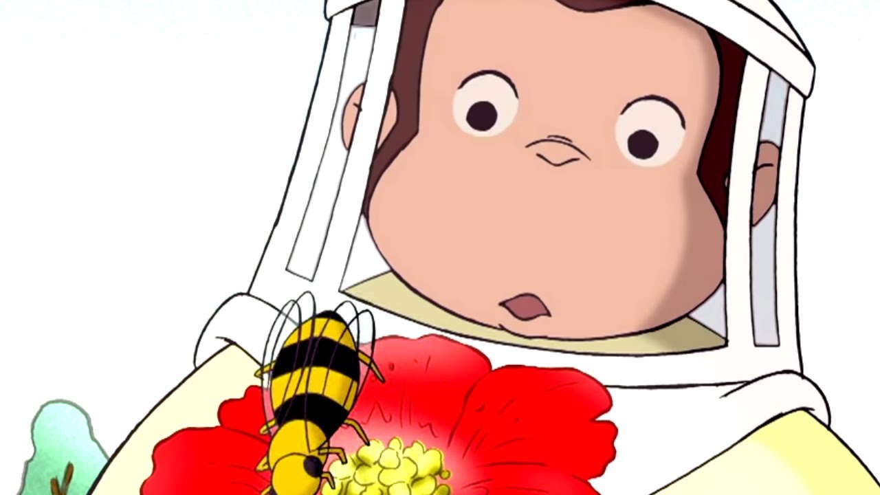 Curious George 🐵 Bee is for Bear 🐵Full Episode🐵 Kids Cartoon 🐵 Kids Movies