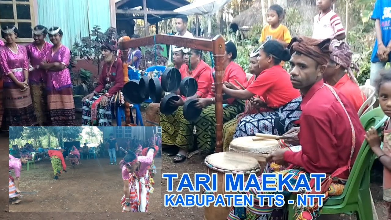 TARI MAEKAT TTS NTT : MENJAGA TANAH LELUHUR