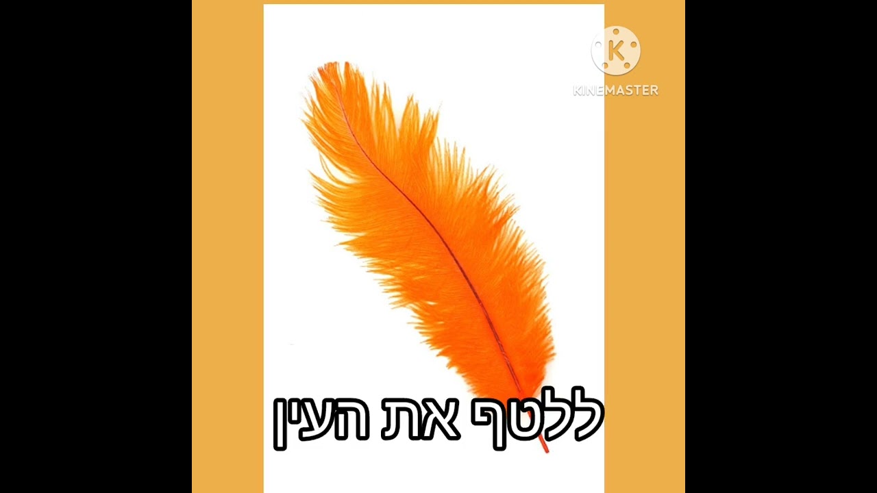 נוצה, שירי ילדים, אורלי אוליבן ס.