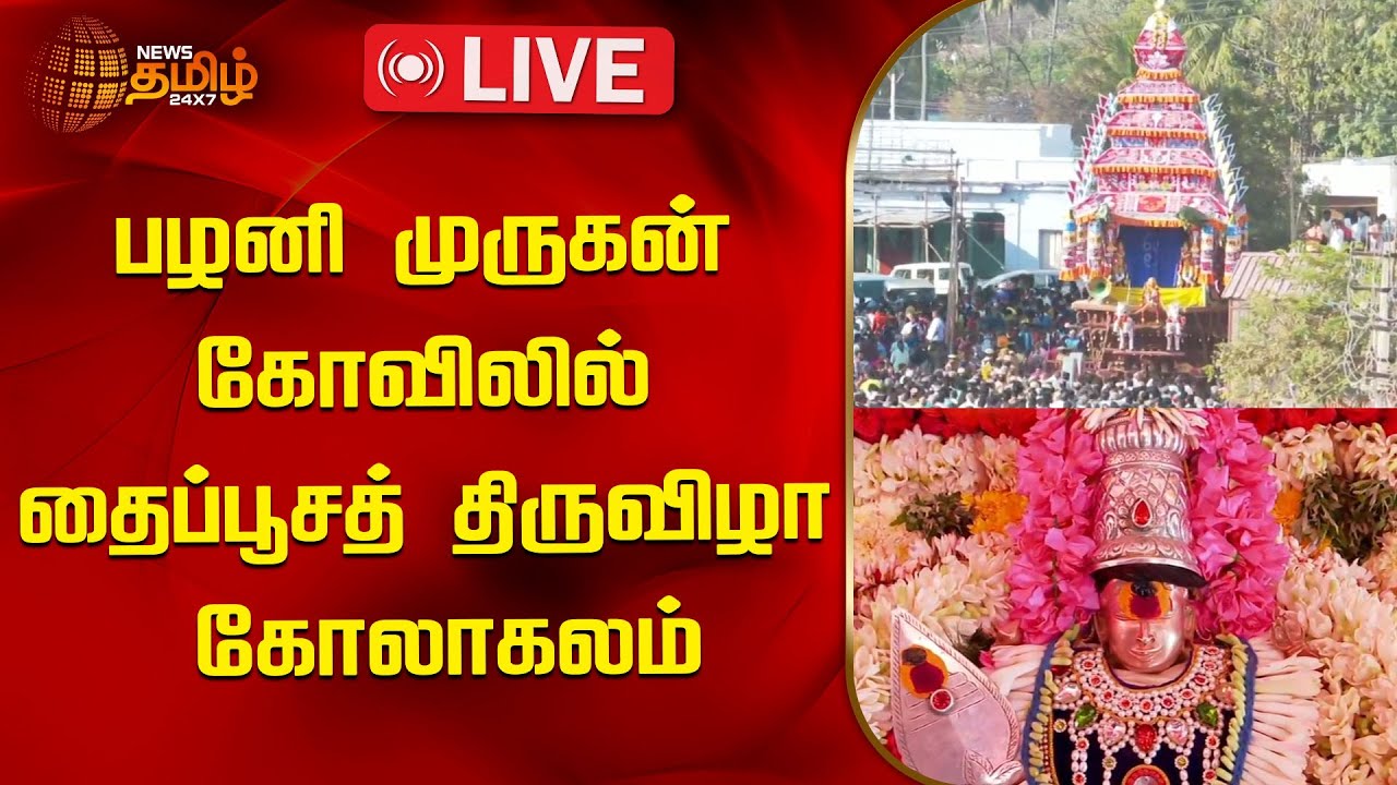 🔴LIVE : பழனி முருகன் கோவிலில் தைப்பூசத் திருவிழா கோலாகலம் | Palani Temple |Thaipusam | Newstamil24x7