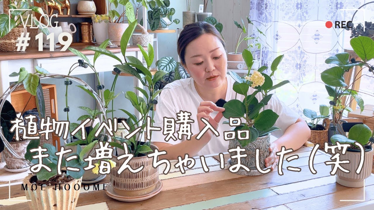 【植物イベント購入品】お迎えした可愛い子たち紹介（Vlog/119）