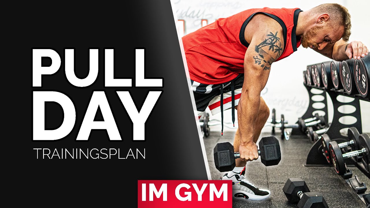 RÜCKEN / BIZEPS Trainingsplan für Fitnessstudio (Muskelaufbau)