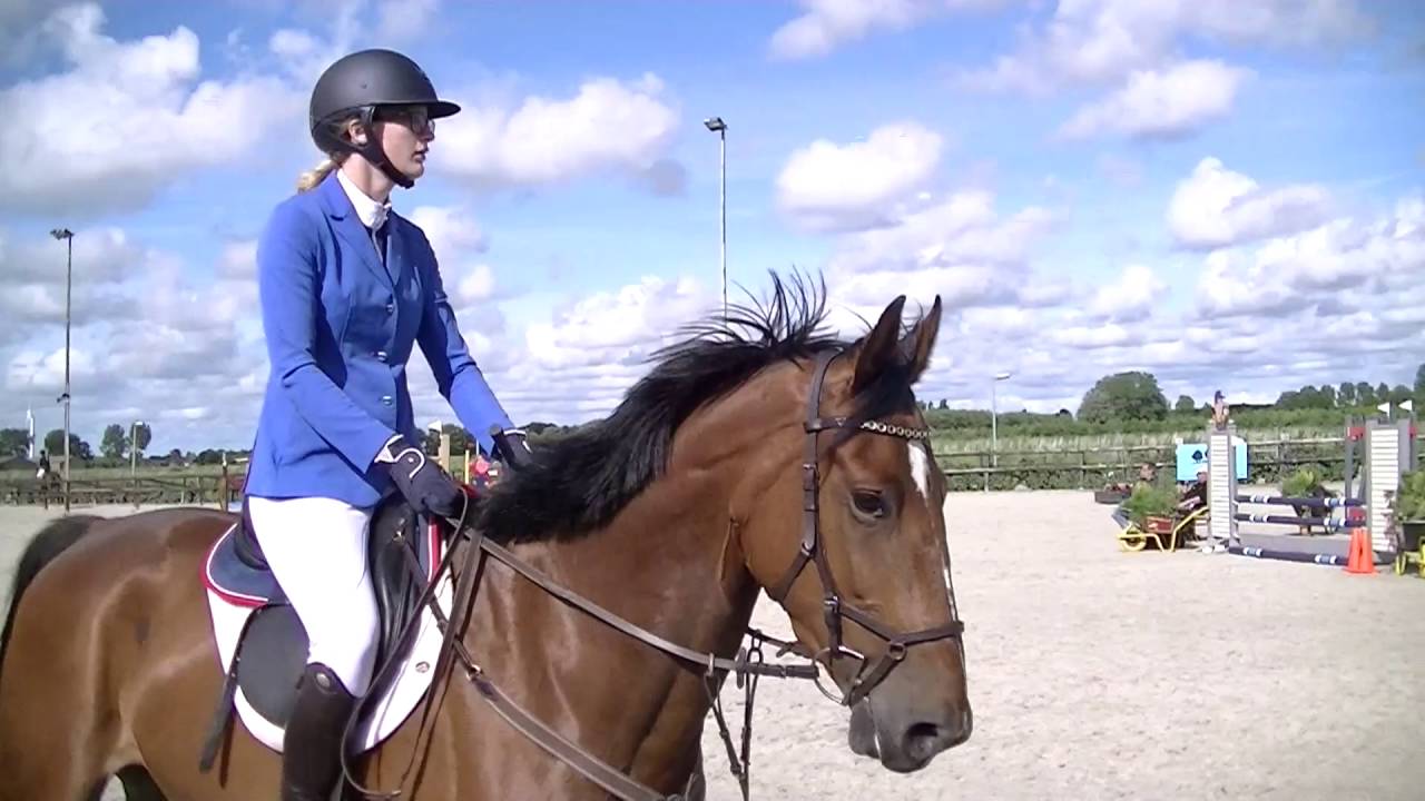 Gismo 80cm showjumping