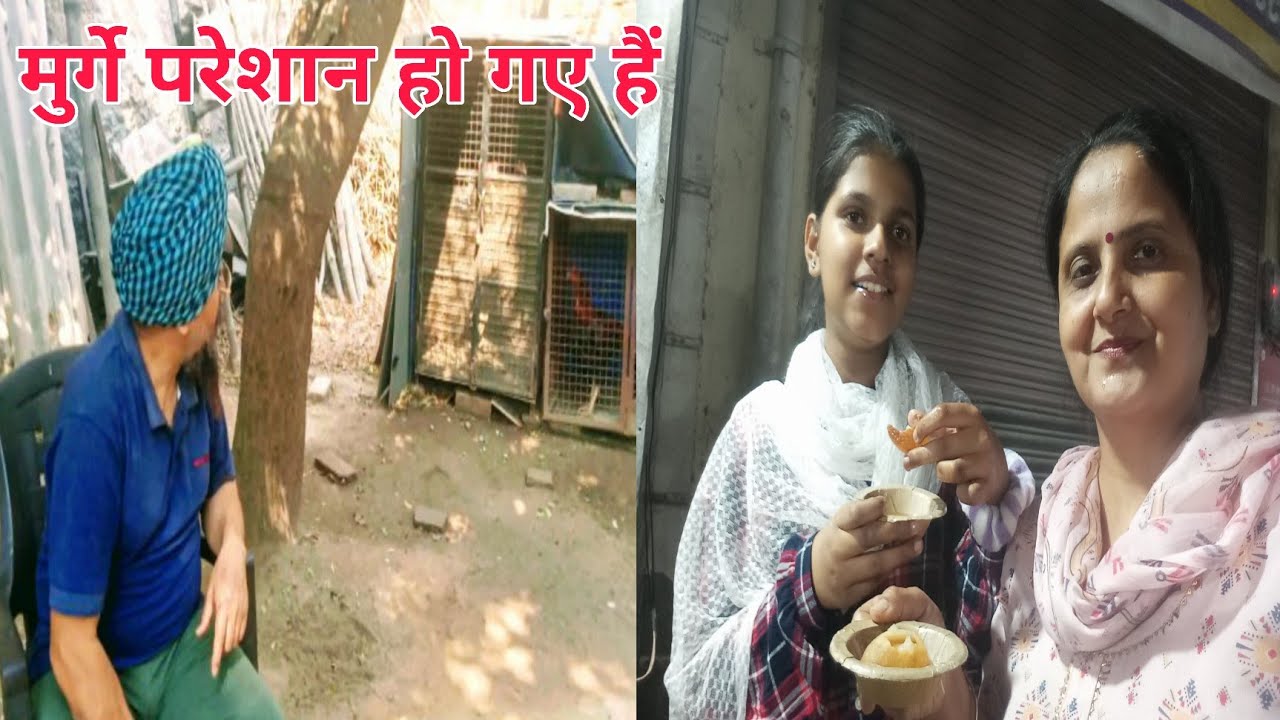 बेचारे मुर्गों की परेशानी कैसे दूर करें 😂 #trending #viral #vlog #coupleonwheels #sauravjoshivlogs 