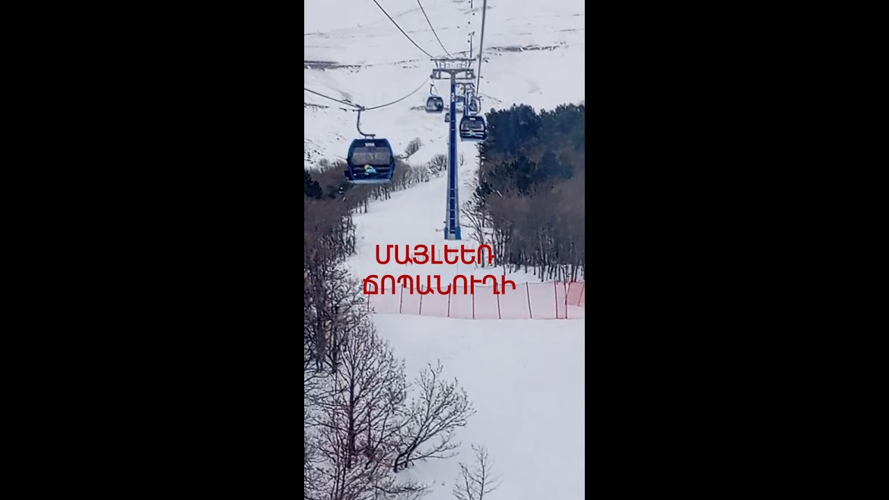 ՄԱՅԼԵՌ ՃՈՊԱՆՈՒՂԻ(MAYLER)