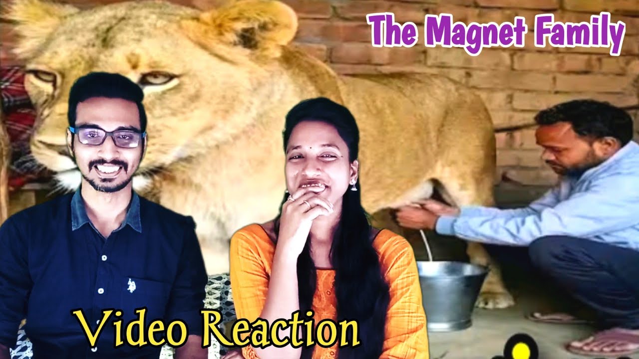 Funny Animal Dubbing சம்பவங்கள்😅😂 |  The Magnet Family Video Reaction