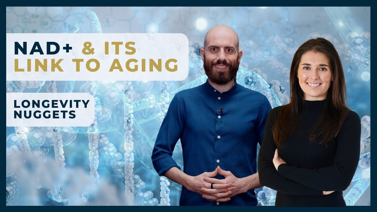 PhD Explains About NAD+ & Its Connection to Aging | Longevity Nugget