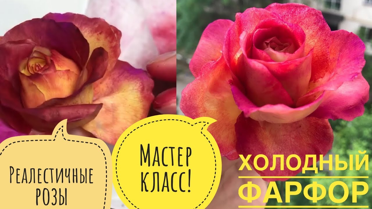 Делаем супер реалистичные розы из холодного фарфора!Мастер класс подробный-смогут все! БерёмИделаем