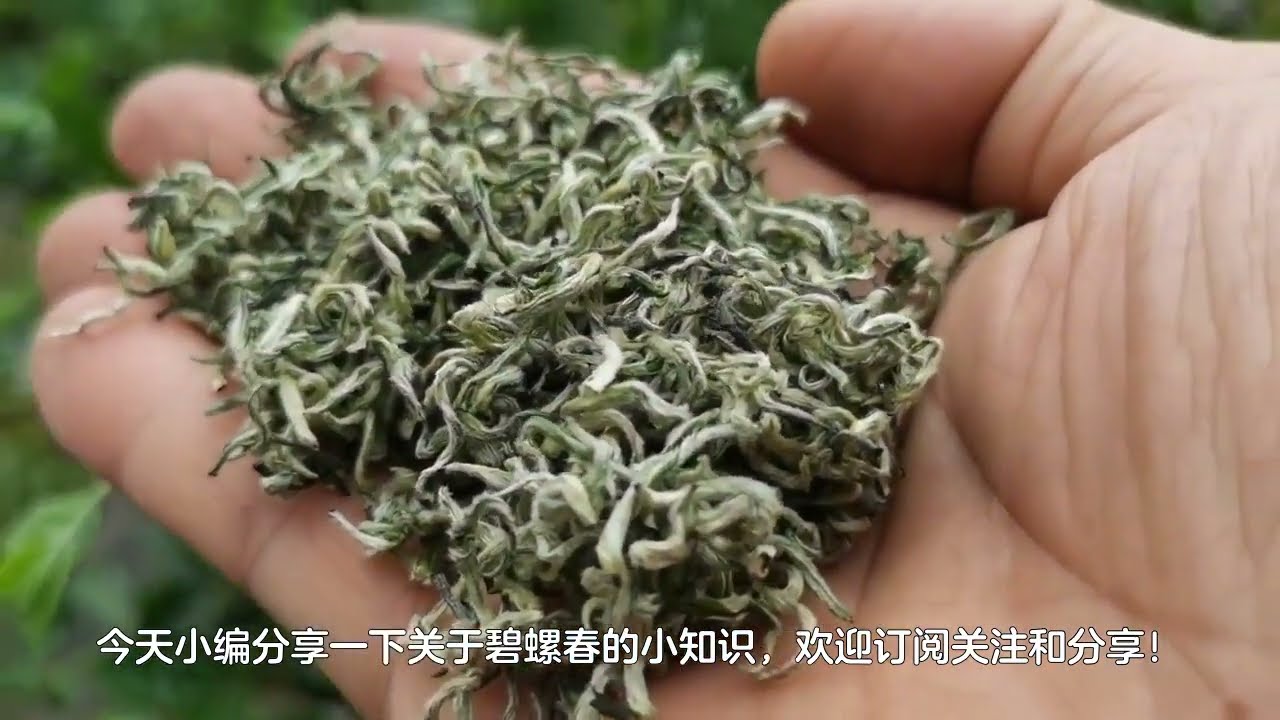 碧螺春放三年还能喝吗？能放多久