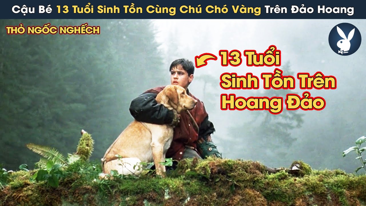 [Review Phim] Cậu B&eacute; 13 Tuổi Đơn Độc C&ugrave;ng Ch&uacute; Ch&oacute; V&agrave;ng Sinh Tồn Tr&ecirc;n Đảo Hoang Khắc Nghiệt