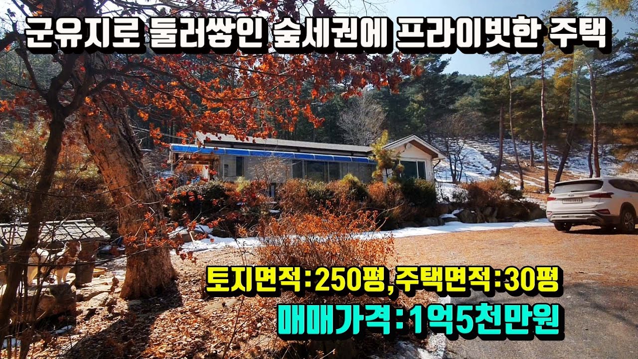 [매번:25-02]평창읍 노론리)가성비 좋은 군유림 속 숲세권에 프라이빗한 주택 *하늘부동산 010-5494-3211*